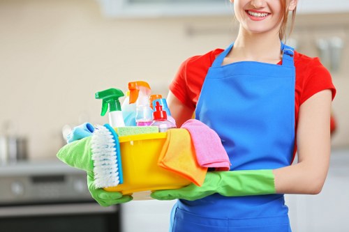 Professional one off cleaning in a home interior