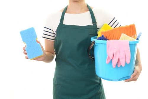 Professional oven cleaning inside a modern kitchen oven