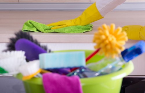 Domestic cleaning routine with cleaning supplies in a tidy home