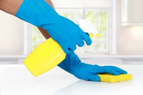 Sofa cleaning service in Colliers Wood living room