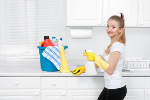 Deep domestic cleaning of kitchen and bathroom surfaces