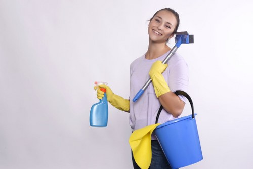 Routine deep cleaning checklist for home maintenance