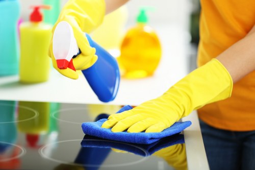 Professional cleaning of a sofa in Colliers Wood