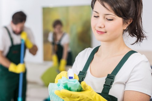 Bathroom house cleaning with cleaning supplies and polished fixtures