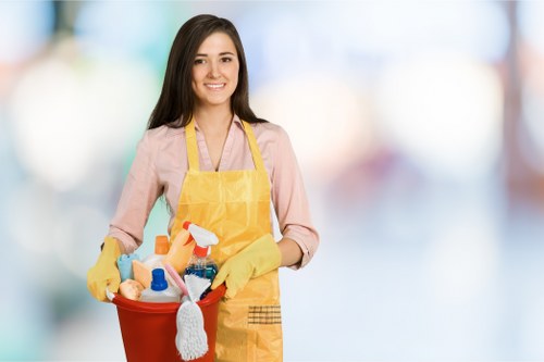 Bathroom sanitizing as part of move in cleaning in a new home
