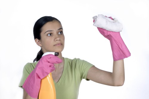 Window cleaning tools used for interior and exterior glass care