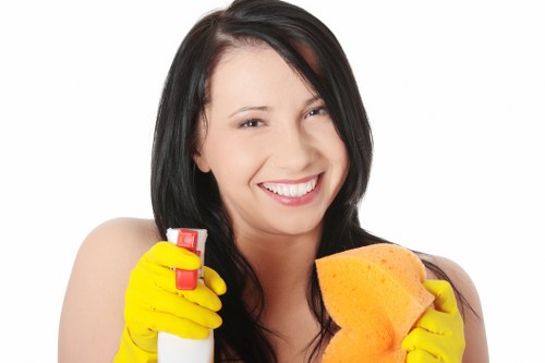 Bathroom deep cleaning with scrub brush and disinfectant